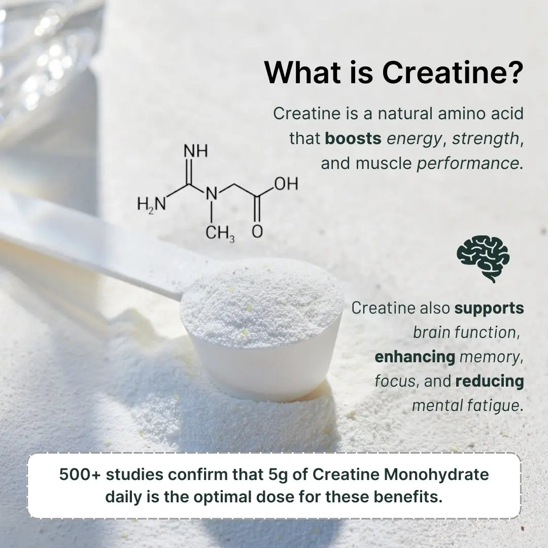 Vegan Protein Powder Creatine Single Serve Packets Travel Supplement